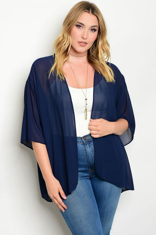 Ivory Beige and Blue Plus Size top